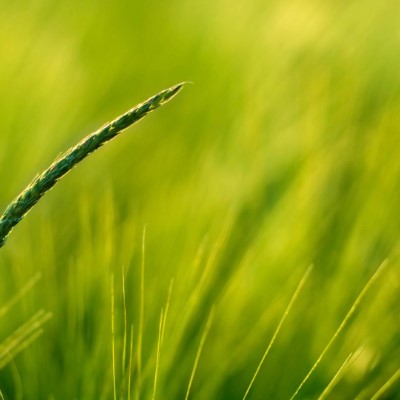 1920 x 1080 HD Wallpapers 2060